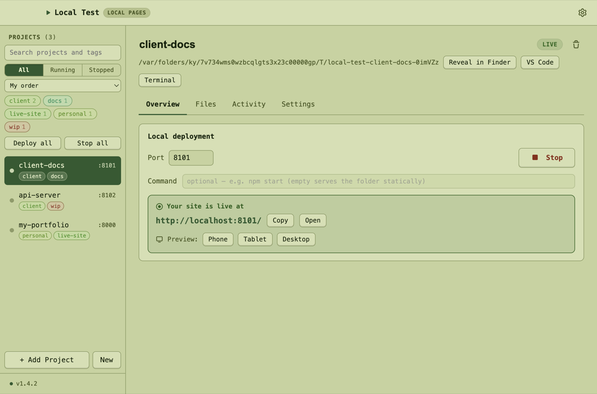 Local Test in the Pocket Green theme.